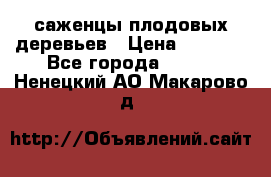 саженцы плодовых деревьев › Цена ­ 6 080 - Все города  »    . Ненецкий АО,Макарово д.